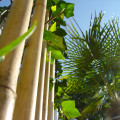 Detail aus dem Garten - Hotel Waldhusen
